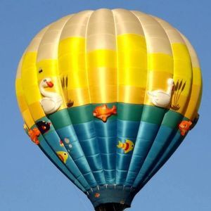 Meet your Posher, Carol